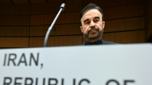 L'Iran n'a pas relanc&eacute; l'enrichissement nucl&eacute;aire, affirme &agrave; l'AFP son ambassadeur aupr&egrave;s de l'AIEA d&eacute;non&ccedil;ant "un gros mensonge" 