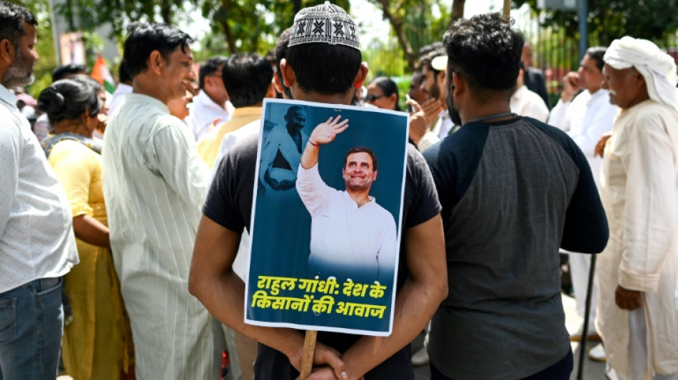 El Parlamento de India suspende la sesi&oacute;n tras una protesta por la expulsi&oacute;n de Rahul Gandhi