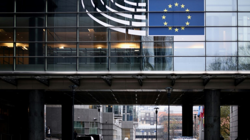 Vizepr&auml;sidentin des EU-Parlaments nach Korruptionsermittlungen  festgenommen