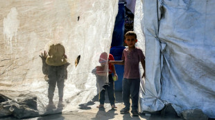 Europäische und arabische Außenminister beraten in Paris über Gaza-Plan