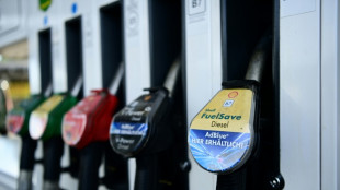 Wirtschaftsweiser Felbermayr erwartet dauerhaft hohe Benzin- und Dieselpreise