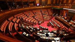 FdI chiede stop esame ddl sicurezza, protestano opposizioni