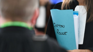 Décision lundi dans le procès "Carton rouge" de vastes arnaques
