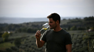 El cambio climático mina la producción de aceite de oliva italiano