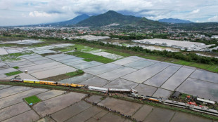 Tres muertos y 28 heridos por una colisi&oacute;n de trenes en Indonesia