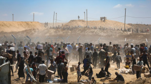 Indagine ong Usa e Gb, 'almeno 64 attacchi a centri aiuti Gaza'