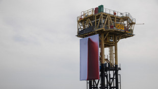 Protesta Greenpeace, opera d'arte su piattaforma gas Shell