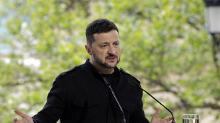 Zelensky, farò di tutto per incontrare Putin in Turchia