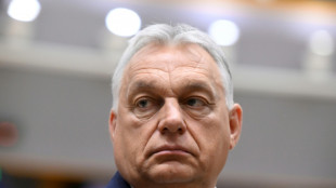Videoaufnahmen von Orban-Familiengrundstück sorgen in Ungarn für Empörung