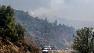 Incendi boschivi, 51900 interventi vigili fuoco da met&agrave; giugno