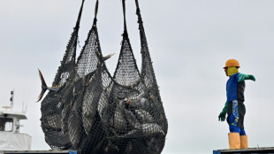 Ecuador aumenta a 482 d&oacute;lares el salario m&iacute;nimo para 2026