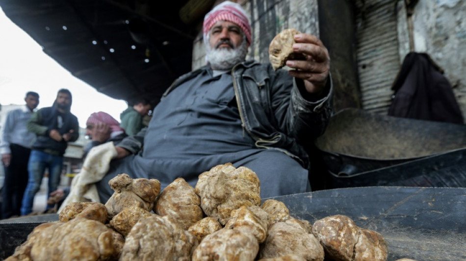 Yihadistas del grupo Estado Isl&aacute;mico matan a 15 recolectores de trufas en Siria