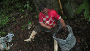 Los recolectores de casta&ntilde;as, salvabosques de la Amazon&iacute;a boliviana