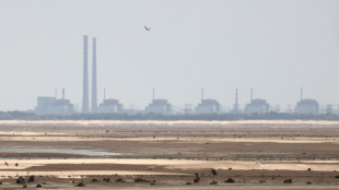 AIEA considera 'inaceit&aacute;vel' morte de engenheiro de usina nuclear da Ucr&acirc;nia
