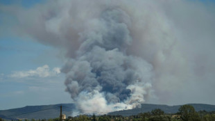 Pobladores evacuados en el sur de Francia por incendio que arrasa 2.000 hectáreas de bosque
