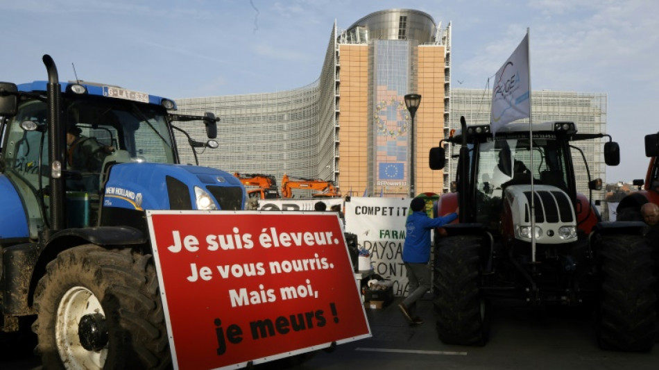 Manifestations, n&eacute;gociations: la France mobilis&eacute;e contre l'accord avec le Mercosur