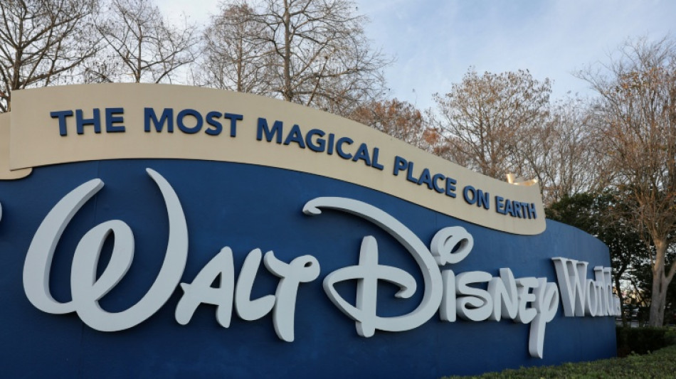 Funcion&aacute;rio da Disney evita acidente com rocha de borracha de 180kg nos EUA