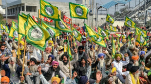 Inde: pourquoi les agriculteurs ont-ils relanc&eacute; leur mouvement de protestation?