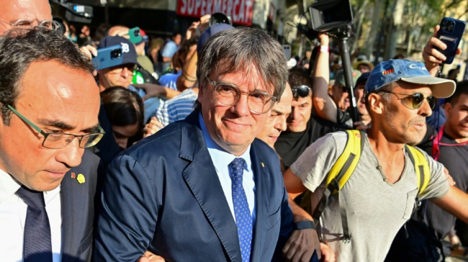 "Vive la Catalogne libre!": apr&egrave;s sept ans d'exil, Puigdemont r&eacute;appara&icirc;t en Espagne, et dispara&icirc;t &agrave; nouveau