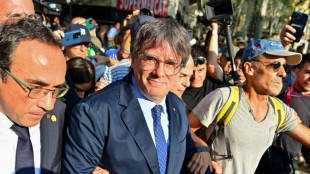 "Vive la Catalogne libre!": apr&egrave;s sept ans d'exil, Puigdemont r&eacute;appara&icirc;t en Espagne, et dispara&icirc;t &agrave; nouveau