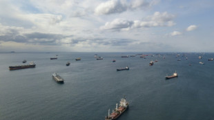 Ukraine grain ships stuck in Istanbul traffic jam