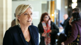 Proc&egrave;s du RN et de Marine Le Pen: la date de la d&eacute;cision sera connue mercredi