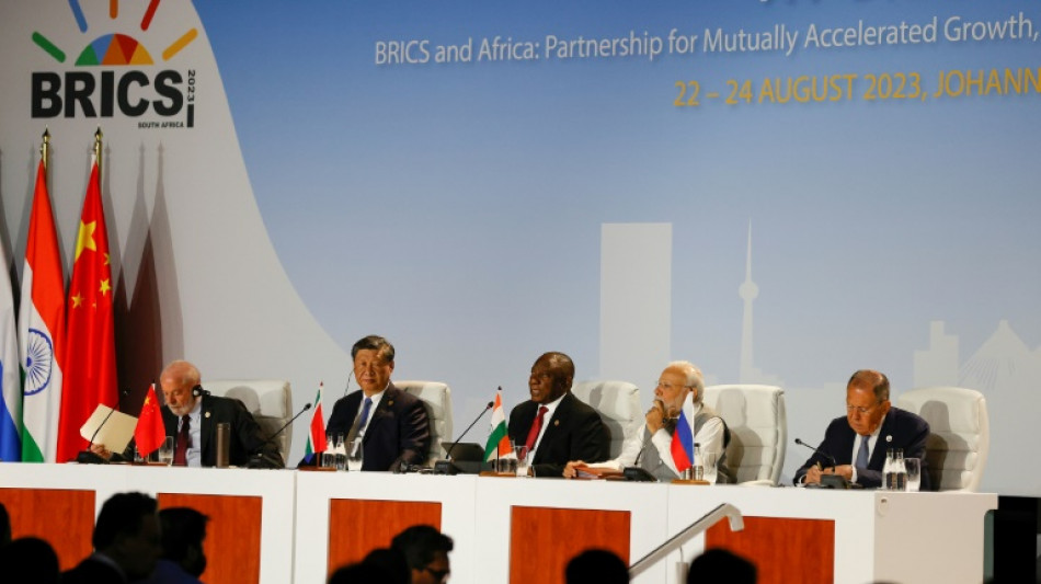 US sees wake-up call, if not threat, as BRICS bloc expands