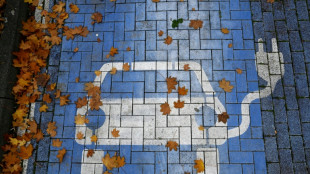 Elektromobilit&auml;t: Bundesregierung beschlie&szlig;t "Masterplan" f&uuml;r Ladenetz