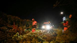 Temp&ecirc;te Goretti: 320.000 foyers sans &eacute;lectricit&eacute;, l'EPR de Flamanville arr&ecirc;t&eacute;