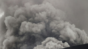 Indon&eacute;sie: fin des recherches apr&egrave;s l'&eacute;ruption meurtri&egrave;re du volcan Marapi