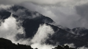 Bosques tropicales en Australia dejaron de absorber más carbono del que emiten (estudio)