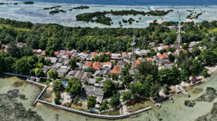 "David contre Goliath": une île indonésienne et le cimentier Holcim s'affrontent en justice