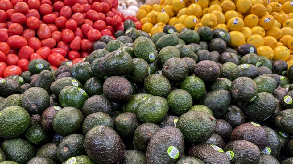 EEUU reanuda las operaciones para importar aguacates de M&eacute;xico