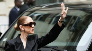 Autour de C&eacute;line Dion, la fr&eacute;n&eacute;sie des produits d&eacute;riv&eacute;s