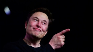 Musk h&auml;lt an umstrittenen Pl&auml;nen f&uuml;r Bezahlsystem bei Twitter-Accounts fest