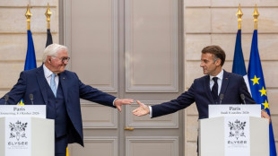 Les Allemands resteront de "bons Europ&eacute;ens", assure le pr&eacute;sident Steinmeier