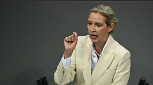Weidel kritisiert Russland-Reise von AfD-Politikern und kündigt Konsequenzen an