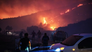 Starker Wind facht Waldbrände im Westen der Türkei an