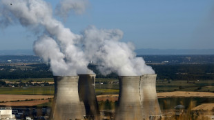 Nuclear's EU comeback on show at Brussels summit