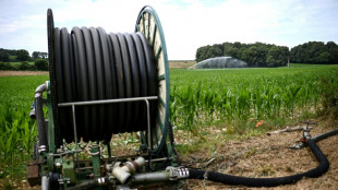 Eau et agriculture, un enjeu crucial sous tension climatique