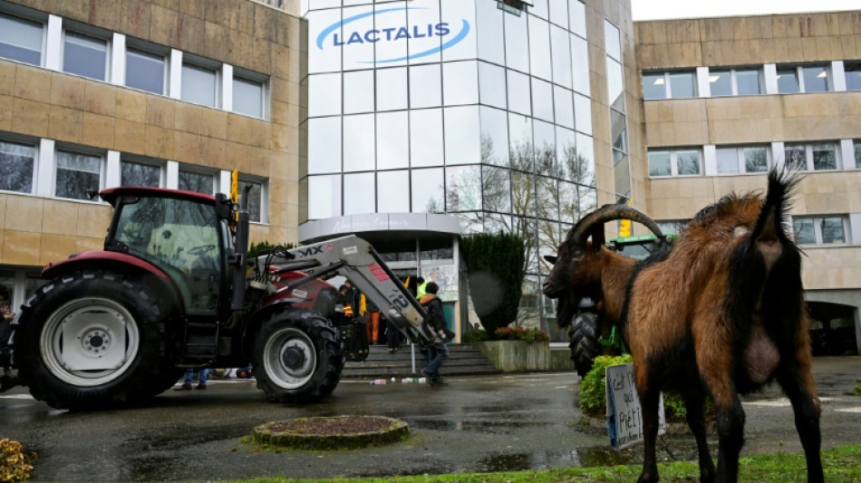 Dermatose et abattage des bovins: la Confédération paysanne et la Coordination rurale appellent à de nouvelles mobilisations