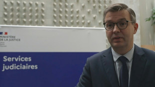 Refus d'obtemp&eacute;rer en Seine-et-Marne: les deux adolescents sont morts