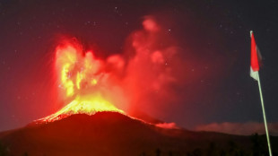 Un volcan indonésien crache une colonne de cendres de 10 kilomètres