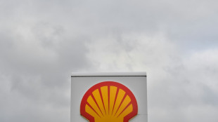 Steigende &Ouml;lpreise bescheren Shell 20 Milliarden Dollar Gewinn