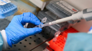 Nuevos medicamentos despiertan esperanzas de un avance contra el c&aacute;ncer de p&aacute;ncreas