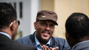 Etiop&iacute;a nombra a un dirigente del frente rebelde TPLF jefe del gobierno de Tigr&eacute;