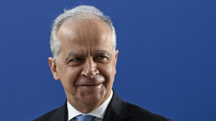Piantedosi,'Remigration o moderati, contributi legittimi'
