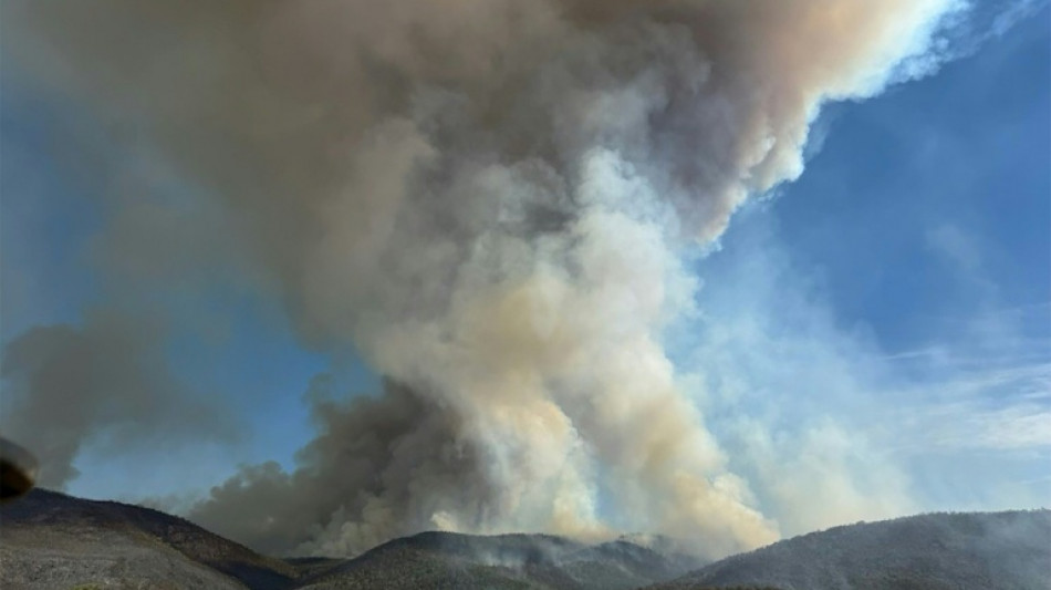 L'Australie en proie aux feux dans des "conditions catastrophiques", selon les pompiers