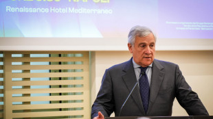 Tajani, pacchetto aiuti a Kiev in arrivo, informato il Copasir