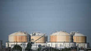 Regierung will f&uuml;r 2,5 Milliarden Euro schwimmende LNG-Terminals anmieten